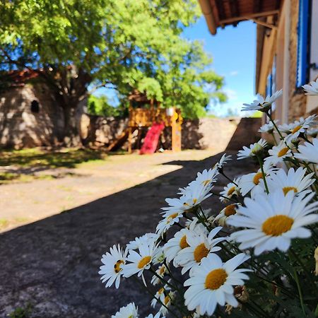 Kuca Dida Jure Villa Pridraga Dış mekan fotoğraf