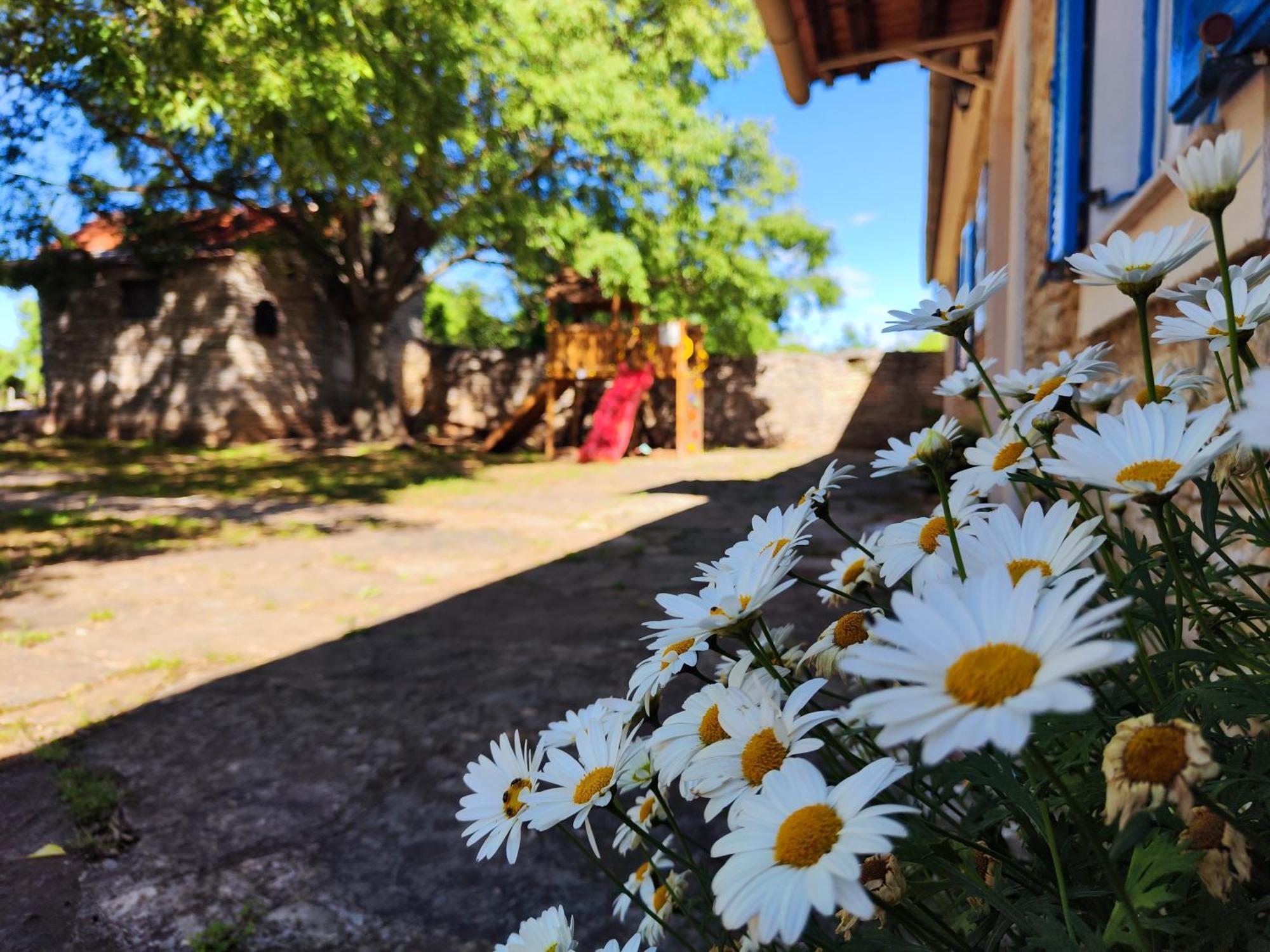 Kuca Dida Jure Villa Pridraga Dış mekan fotoğraf