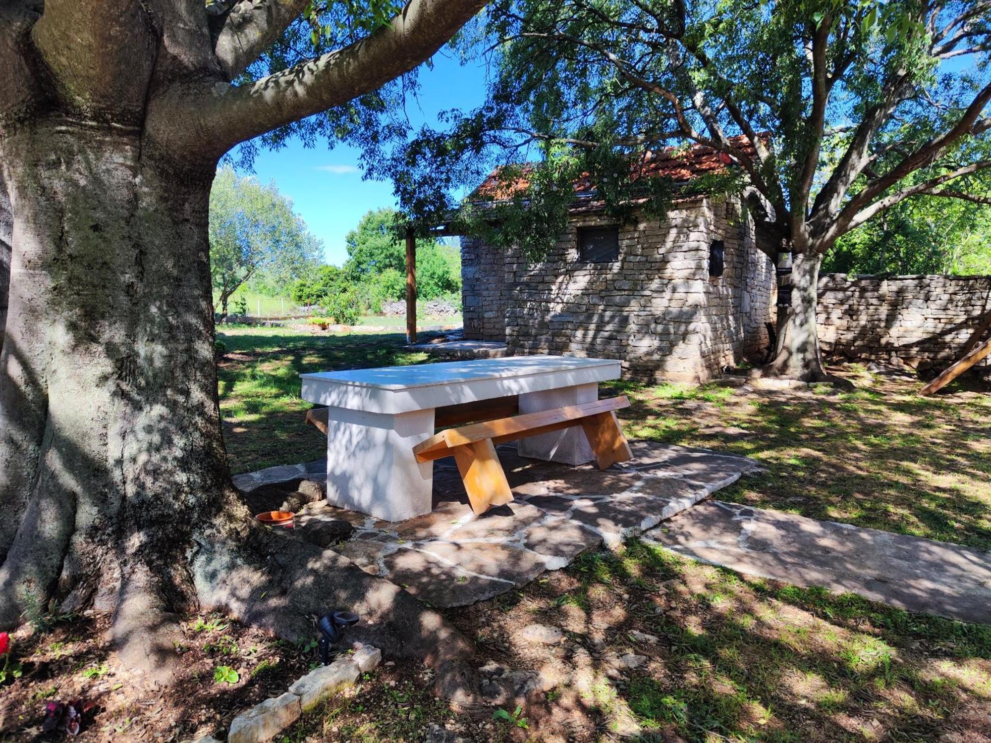 Kuca Dida Jure Villa Pridraga Dış mekan fotoğraf